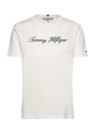 Tommy Hilfiger Nos Script Regular C-Nk Ss Vit