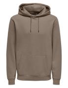 ONLY & SONS Onsceres Hoodie Sweat Noos Brun