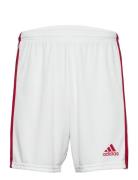 Adidas Performance Squadra 21 Short Vit