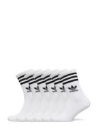 Adidas Originals 3 Strip Crw 6Pp Vit