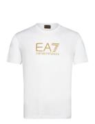 EA7 T-Shirt Vit