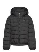 GANT Shield Padded Jacket Svart