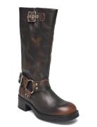 Steve Madden Beau Boot Brun