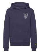 Lyle & Scott 3D Eagle Graphic Hoodie Marinblå