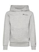 Champion Hooded Sweatshirt Grå