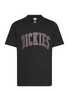 Dickies Aitkin Tee Svart