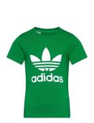 Adidas Originals Trefoil Tee Grön