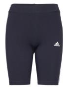 Adidas Sportswear W 3S Bk Sho Marinblå