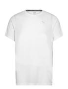 PUMA Performance Ss Tee M Vit