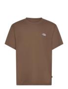 Dickies Summerdale Ss Tee Brun