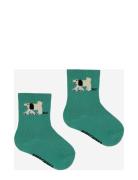 Bobo Choses Baby Fairy Dog Short Socks Grön