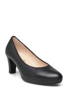 Gabor Pumps Svart