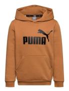 PUMA Ess Big Logo Hoodie Fl B Brun