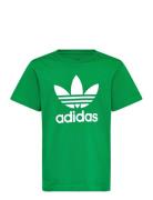 Adidas Originals Trefoil Tee Grön