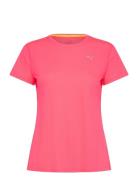 PUMA Run Favorites Velocity Tee W Rosa