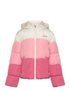 Levi's Color Block Puffer / Lvg Color Block Puffer Rosa