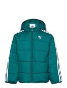 Adidas Originals Padded Jacket Grön