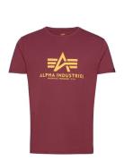 Alpha Industries Basic T-Shirt Burgundy