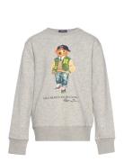 Ralph Lauren Kids Polo Bear Fleece Sweatshirt Grå