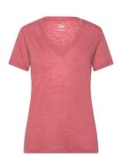 Lee Jeans V Neck Tee Rosa