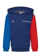 PUMA Motorsport Bmw Mms Kids Ess Hoodie Ft Marinblå