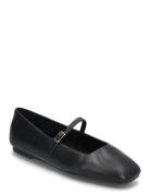 Steve Madden Ezri Ballerinas Svart