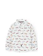 Boboli Poplin Knitwear For Baby Boy -Bci Multi/patterned