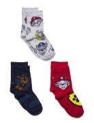 Paw Patrol Socks Multi/patterned