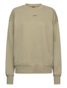 BOSS C_Eteia_Small_Logo Beige