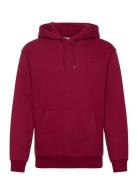 Hollister Hco. Guys Sweatshirts Burgundy