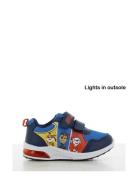 Paw Patrol Paw Patrol Sneaker Blå