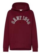 GANT Gant 1949 Arch Hoodie Burgundy