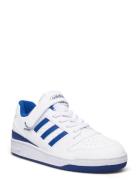 Adidas Originals Forum Low C Vit