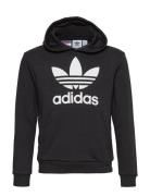 Adidas Originals Trefoil Hoodie Svart