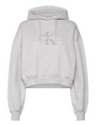 Calvin Klein Jeans Chenille Monologo Hoodie Grå