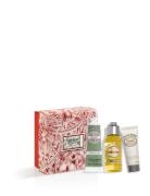 L'Occitane Almond Sweet Gift 2024 Nude