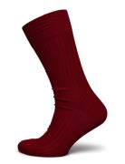 AN IVY Red Ribbed Socks Burgundy