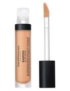 BareMinerals Bare Minerals Barepro All Over Skin Perfecting Conceal Li...