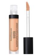 BareMinerals Bare Minerals Barepro All Over Skin Perfecting Conceal Fa...