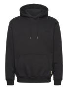 Woodbird Wbpacs Base Hoodie Svart