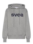 Svea Swcowen Hoodie Grå