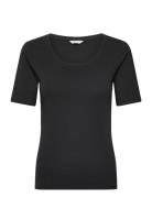 GANT Slim Cot/Ela Ss Scoop Neck Top Svart