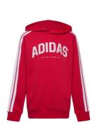 Adidas Sportswear J C Colleg Hd Röd