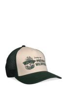 American Needle Smokey Bear Sinclair Green/Off White American Needle G...