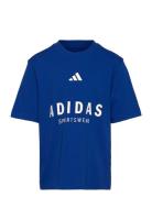 Adidas Sportswear J Allszn Gfx T Blå