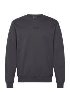 EA7 Sweatshirt Svart