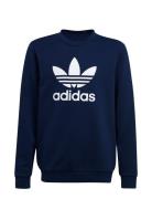 Adidas Originals Trefoil Crew Marinblå