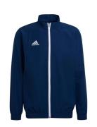 Adidas Performance Ent22 Pre Jkt Marinblå