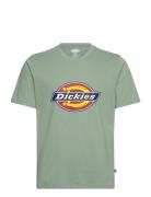 Dickies Icon Logo Tee Grön