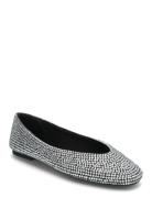 Steve Madden Darts-R Ballerinas Svart